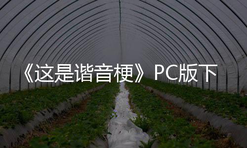 C版下载下载音梗这正版分流是谐