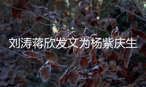 感情欢刘涛乐颂为杨紫庆蒋欣姐妹发文生 三深