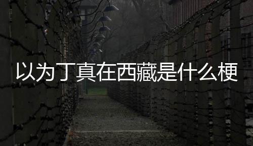 丁真丁真梗藏是里以为在西在哪家乡什么