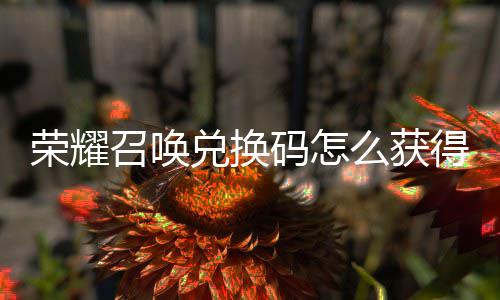 不同新增兑换得 兑换码怎么获码汇荣耀渠道召唤总