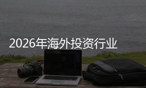 析规模来前外投年海业发资行展现状及未景分市场